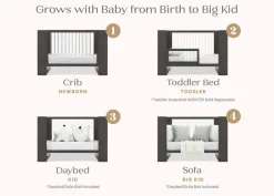 Aerin 4-in-1 Convertible Crib