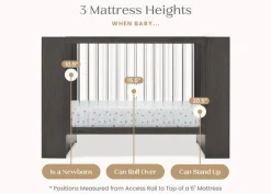 Aerin 4-in-1 Convertible Crib