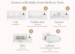 Alice 5-in-1 Convertible Crib and Changer