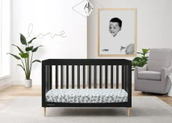 Austin Acrylic 4-in-1 Convertible Crib