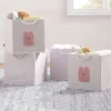 babyGap 4-Pack Brannan Bear Fabric Storage Bins with Handles