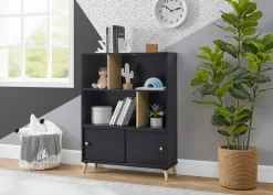 Essex Bookcase