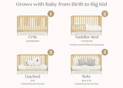 Essex 4-in-1 Convertible Crib