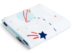 Milestone Baby Blanket