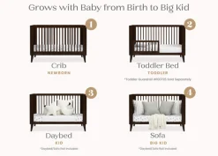 Ollie 4-in-1 Convertible Crib