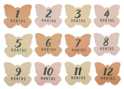 Personalized Milestone Baby Blanket