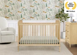 Serena 4-in-1 Convertible Crib