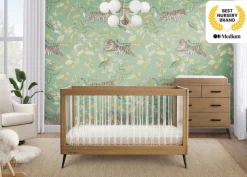 Sloane 4-in-1 Acrylic Convertible Crib